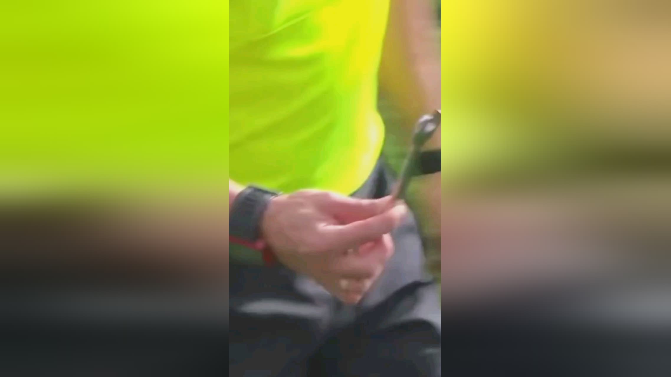 作布克和